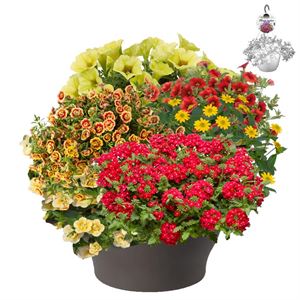 Afbeelding van HP30 XXL Mix 12